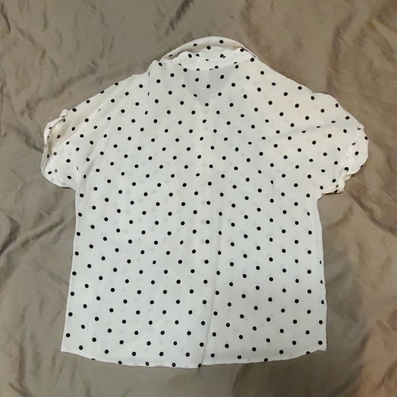 Kirra Crop Top Button Down - Picture 5 of 5